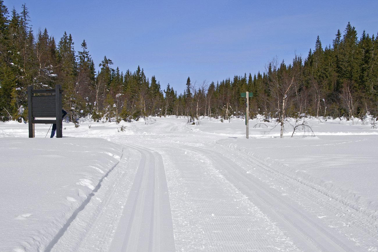 Nykjørt på Stormyra