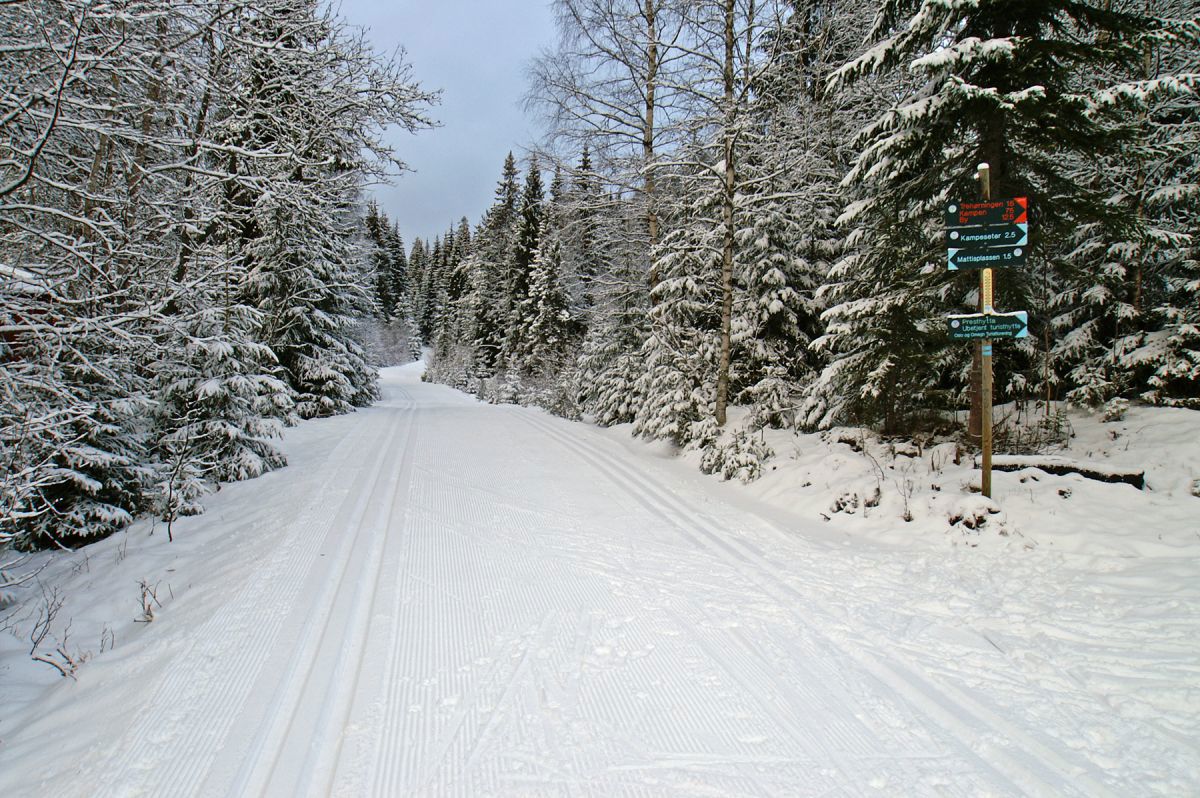 Nykjørt ved Monsebråtan