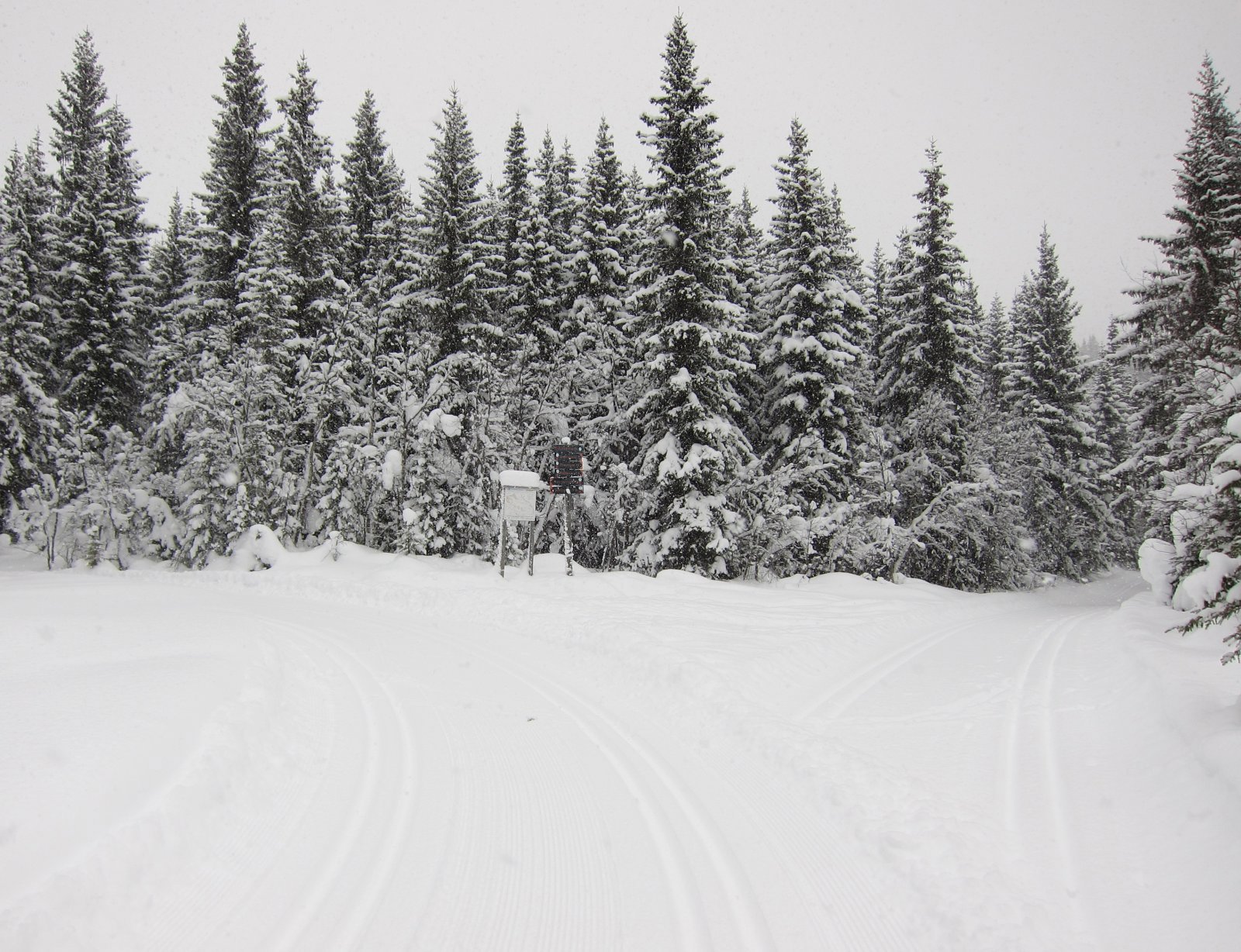 Nypreparert eller gjensnedd?