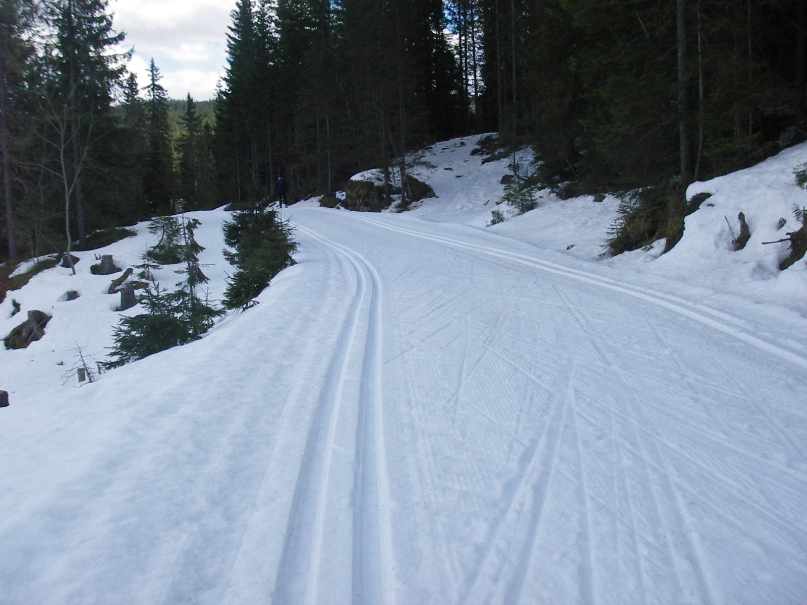 Nypreppede løyper på sørsiden av Mylla!
