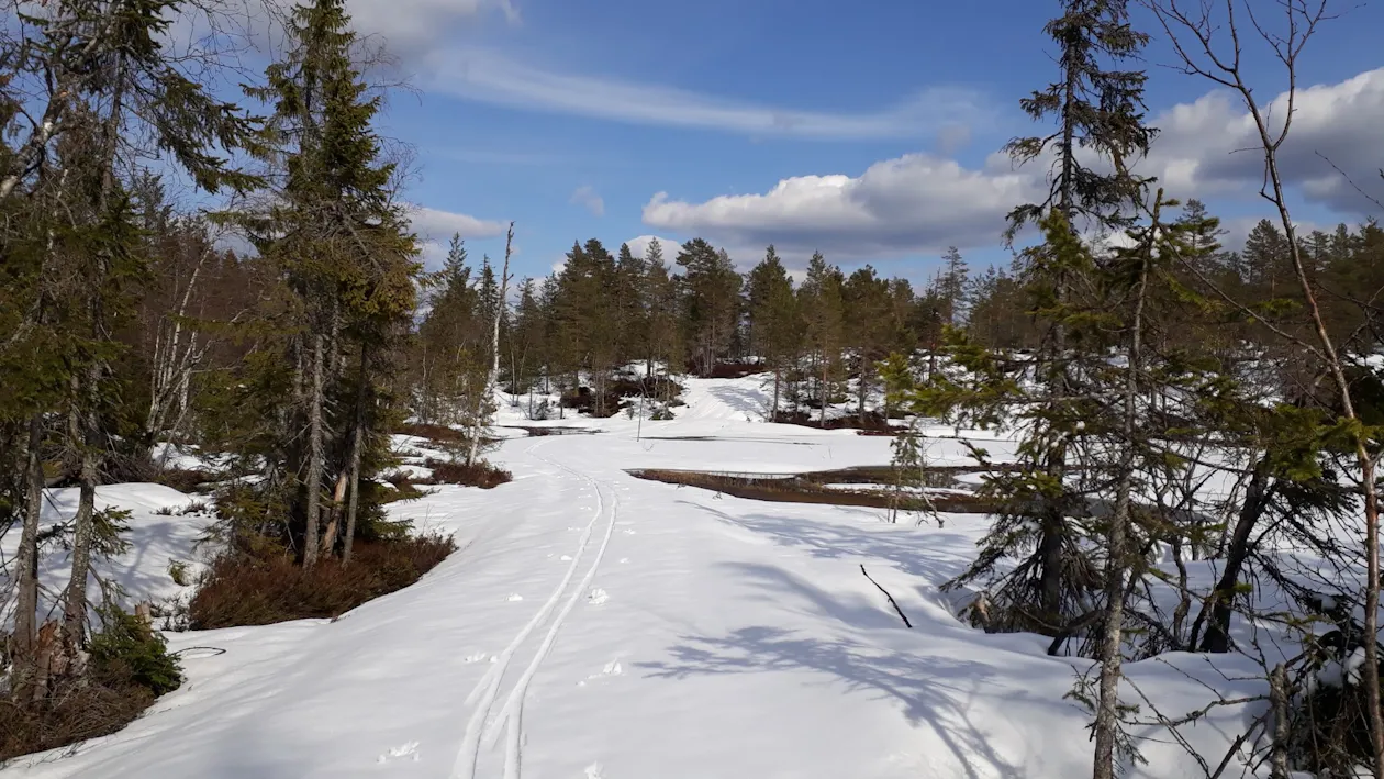 Nysnø i mai Nysnø i mai