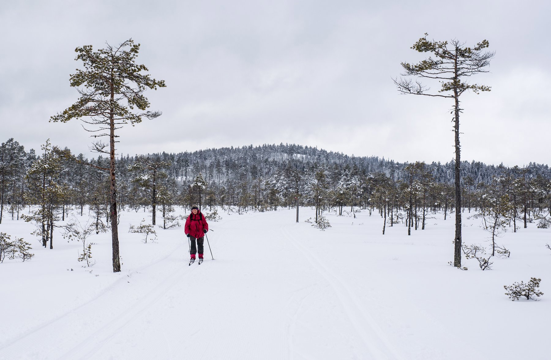 Nysnø over Høgsmåsan
