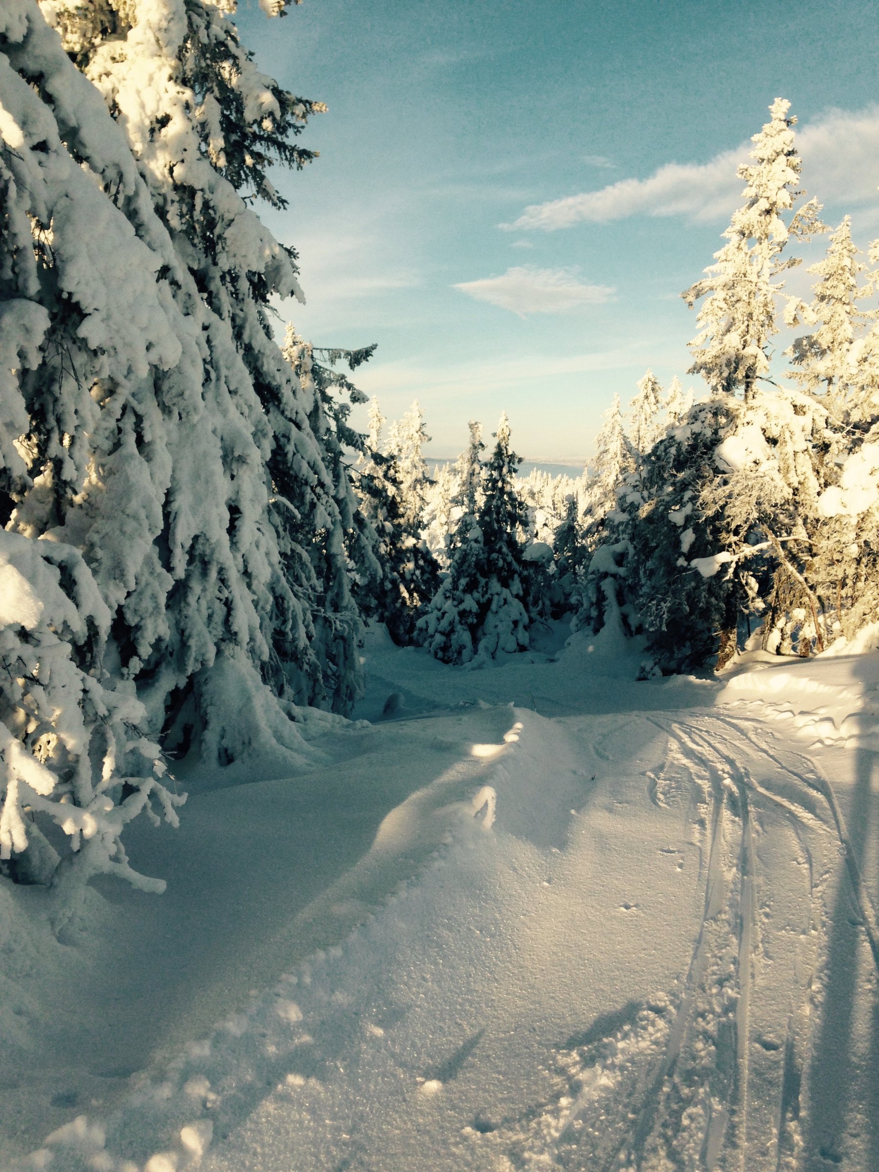 Nysnø på Kvitingen