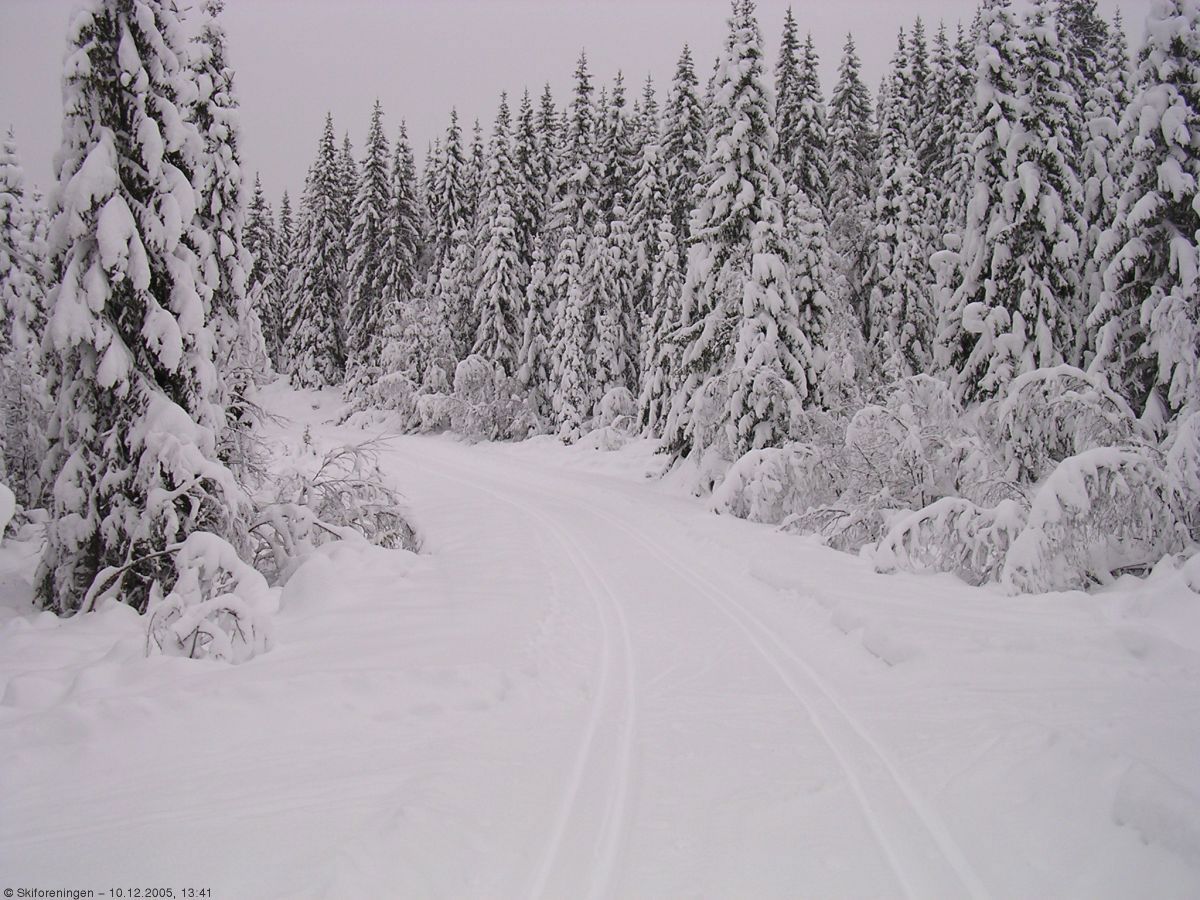 Nysnøforhold på Sandviksveien