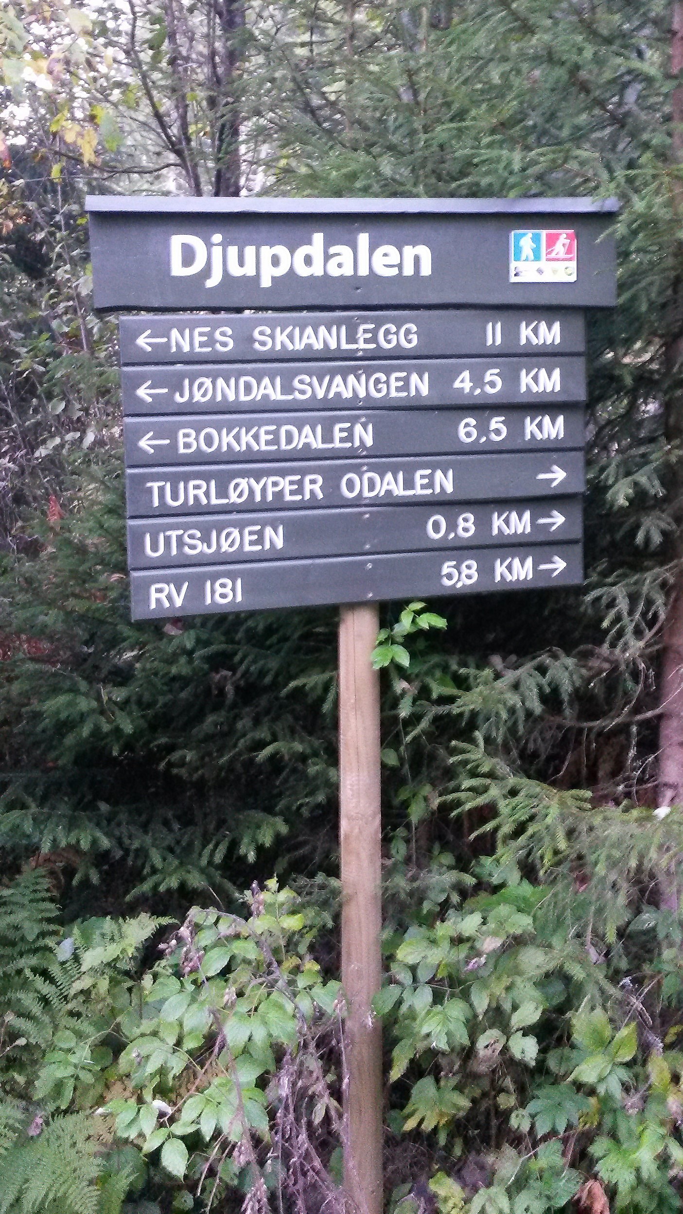 Nytt skilt nord i Nes