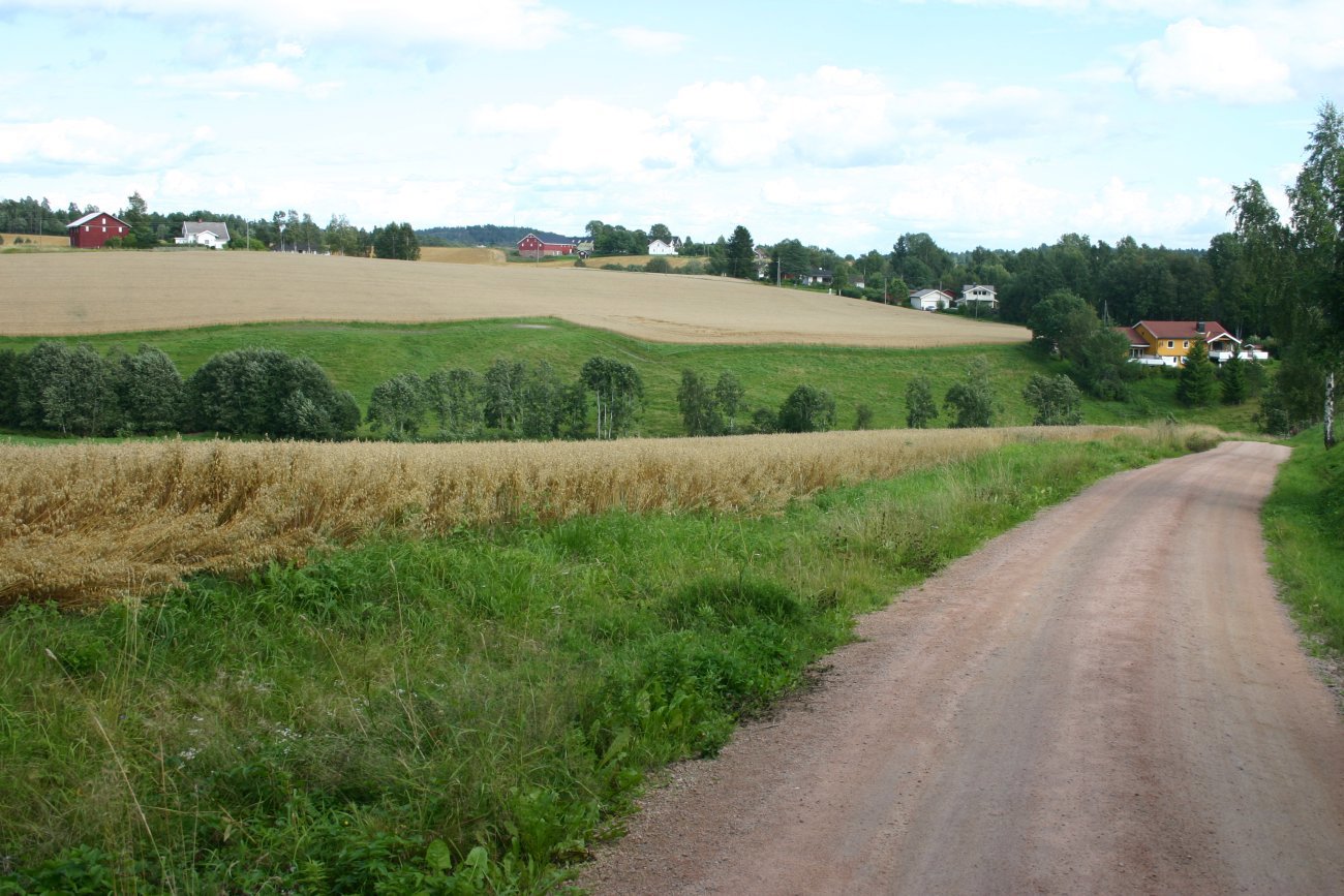 Oldtidsvei fra Spikkestad