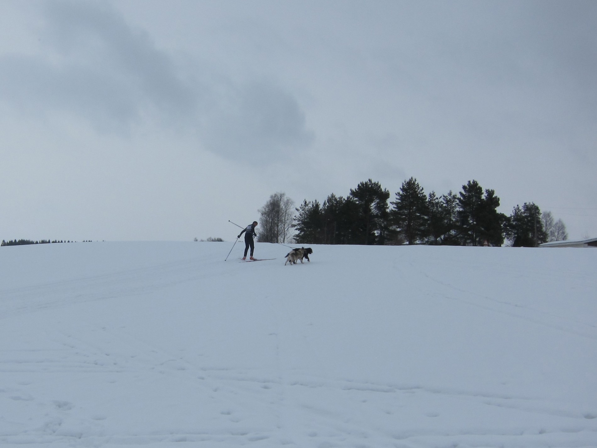 Opp bakken på Kromjordet