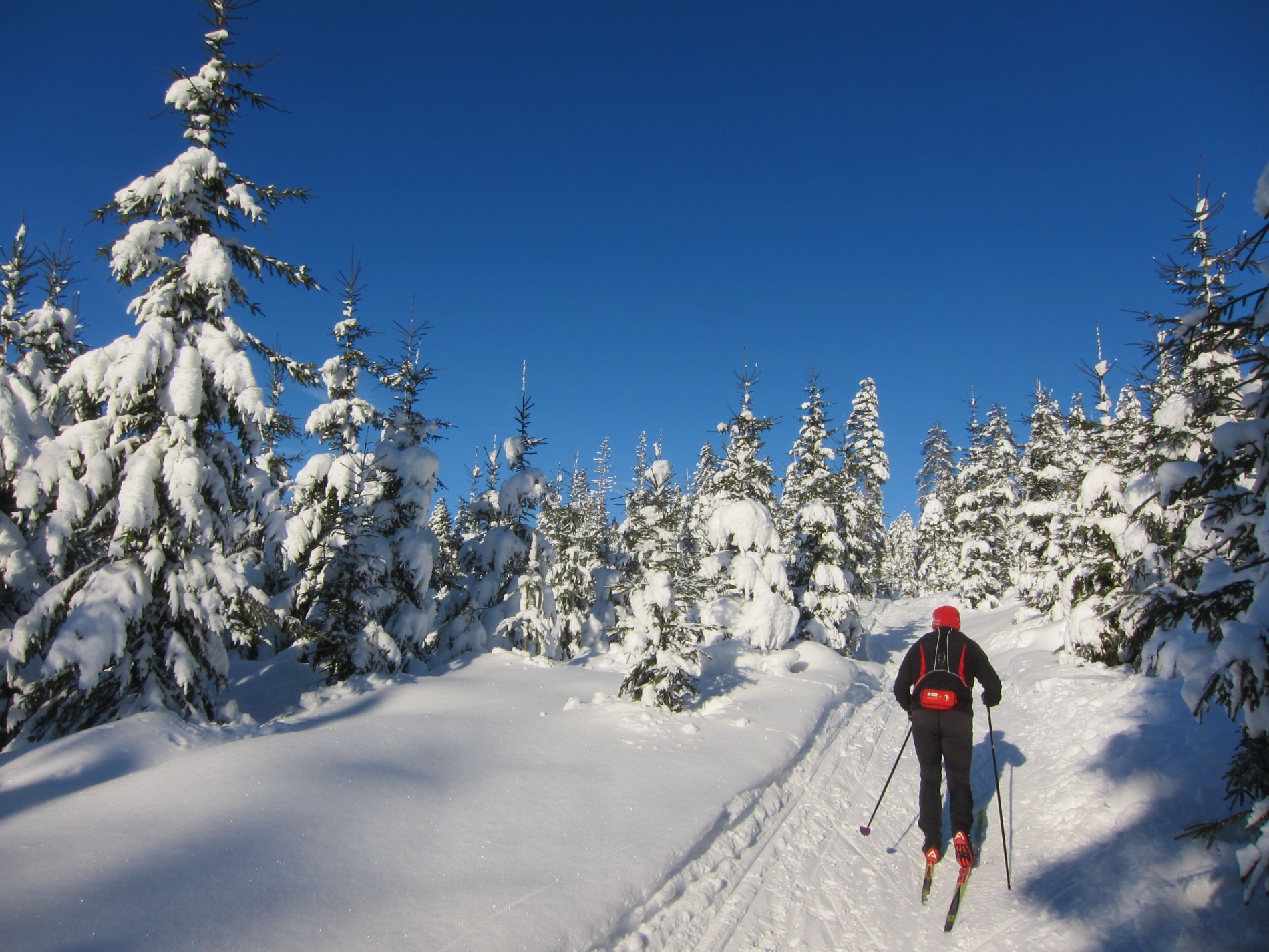 Opp bakkene mot Tretjernsmyra