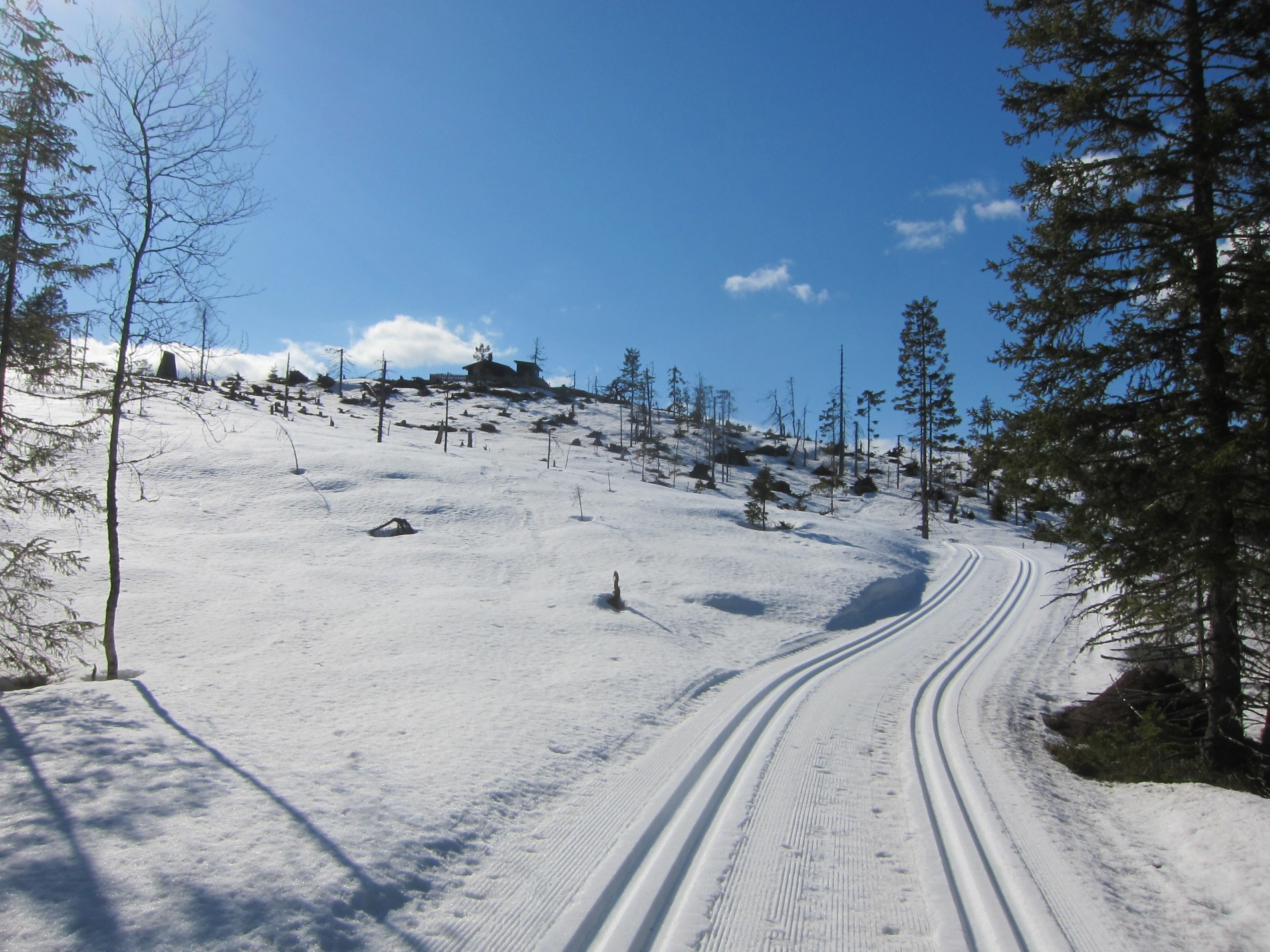 Opp bakkene til Rognlihaugen