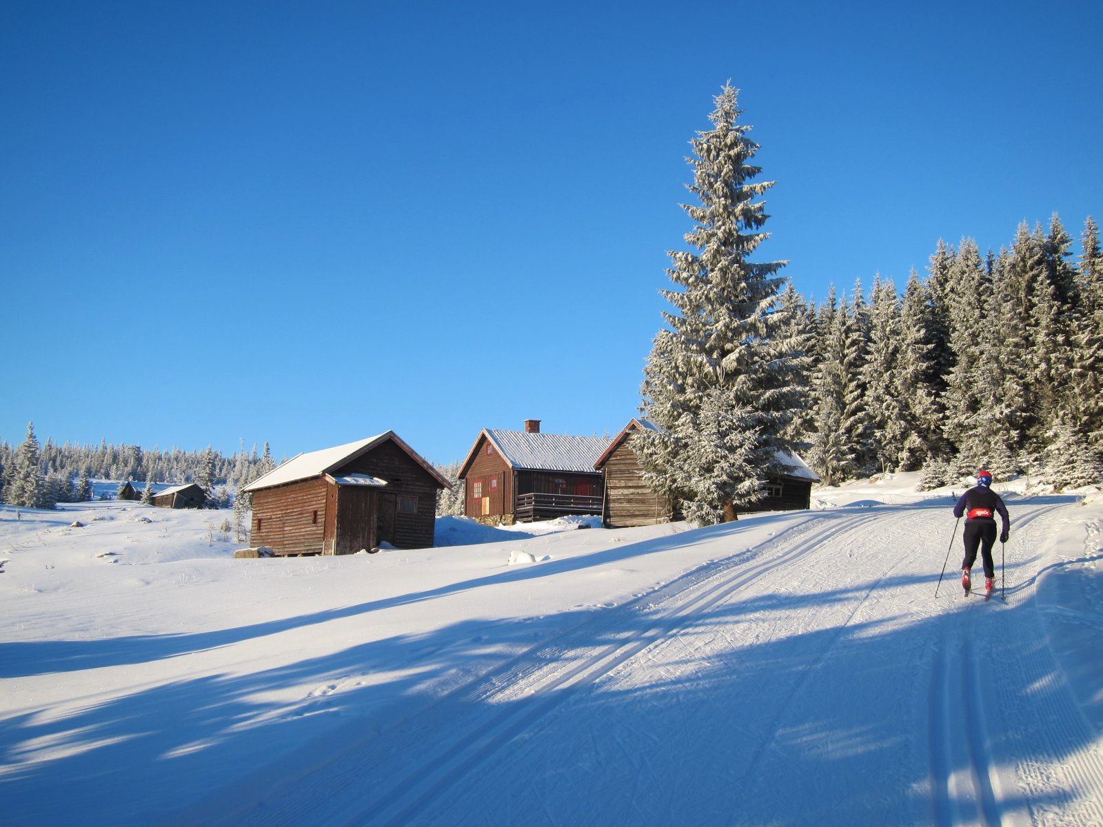 Opp bakkene ved Anfinnsætra