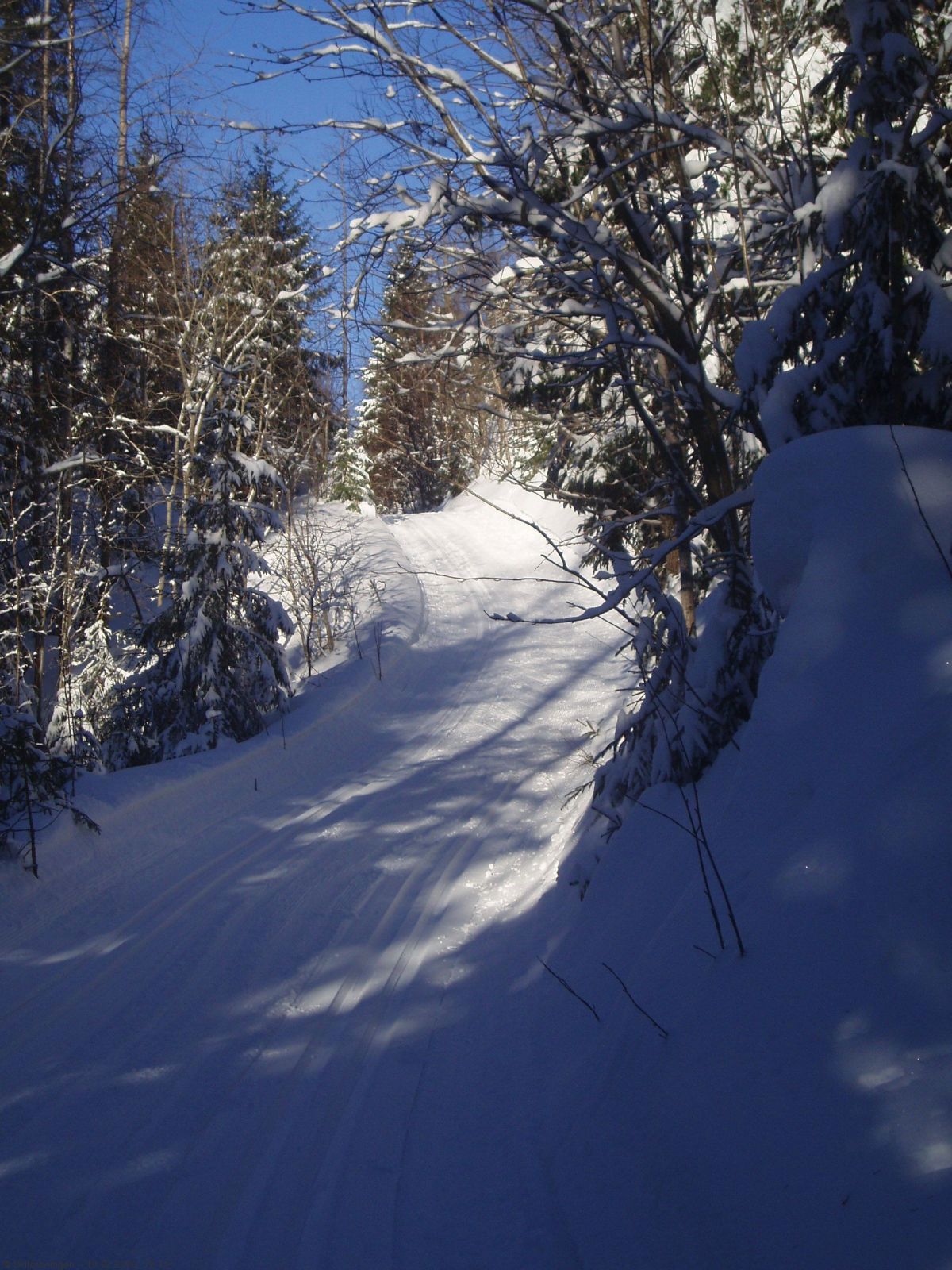 Opp forbi Grisputten