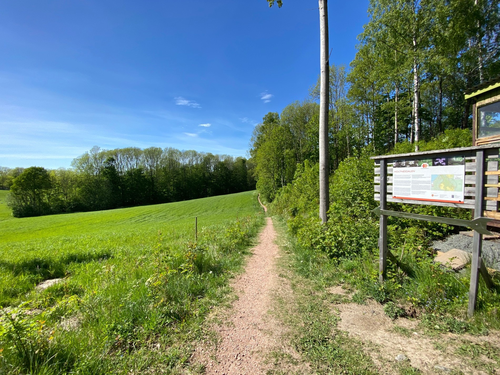 Opp gjennom Holtnesdalen