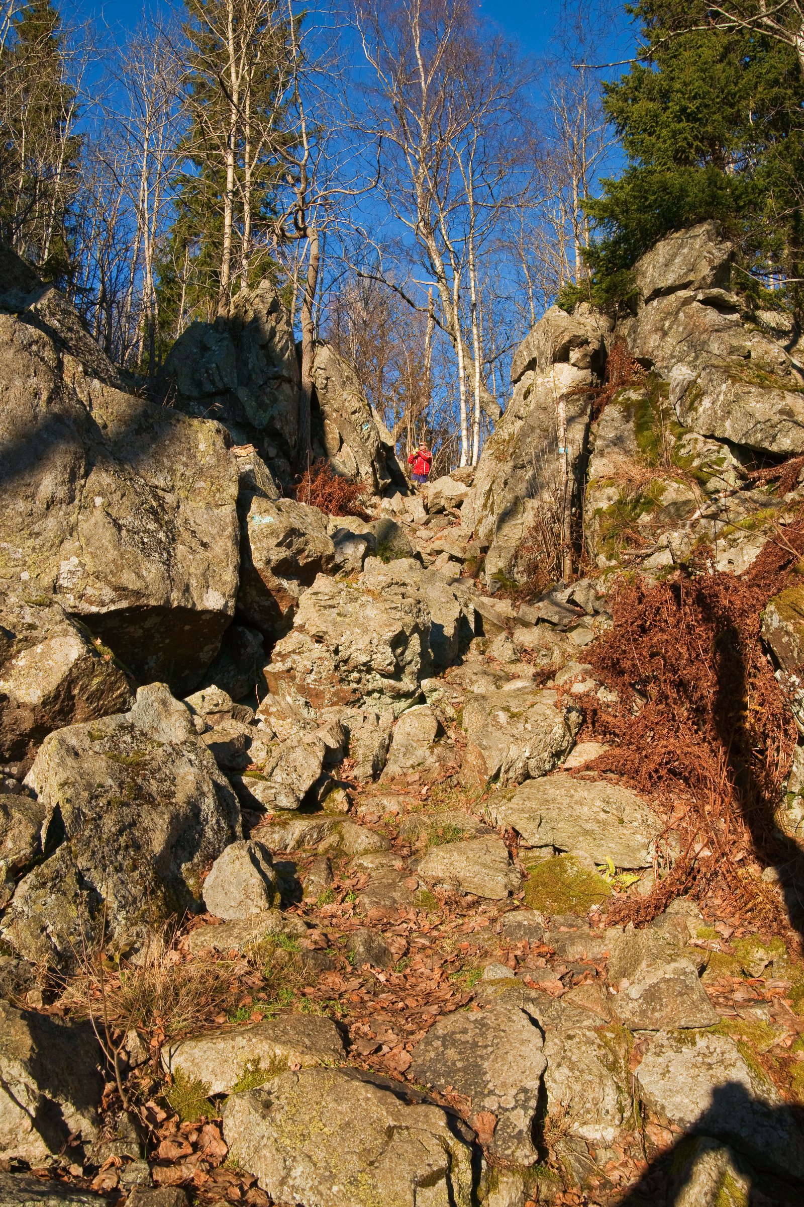 Opp ura mot Eineåsen