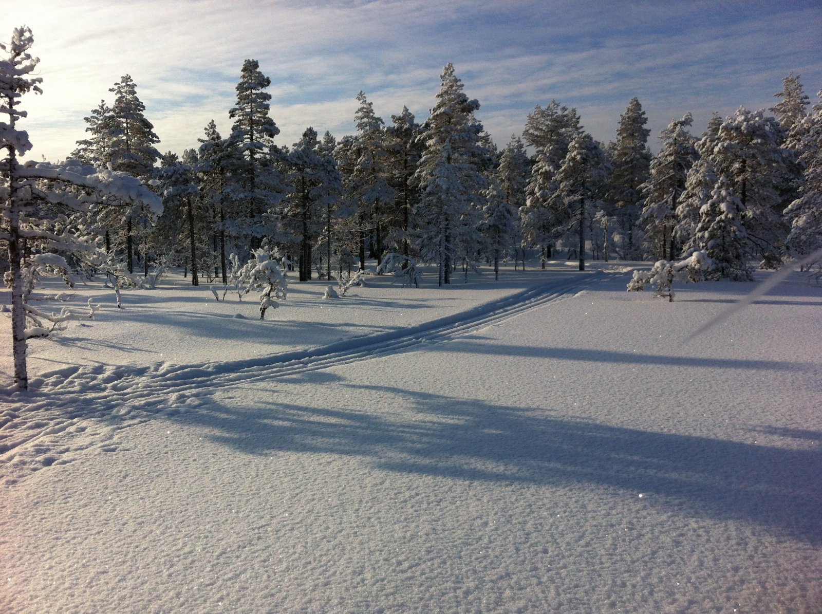 Oppe på Tretjernsmyra