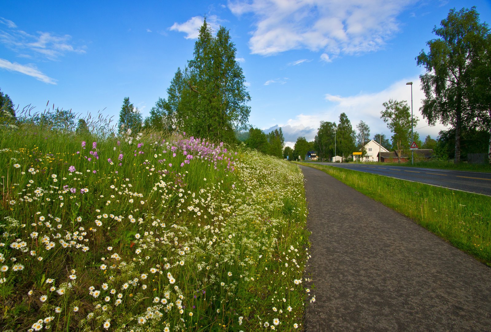 Oppklarning ved Reinsvoll