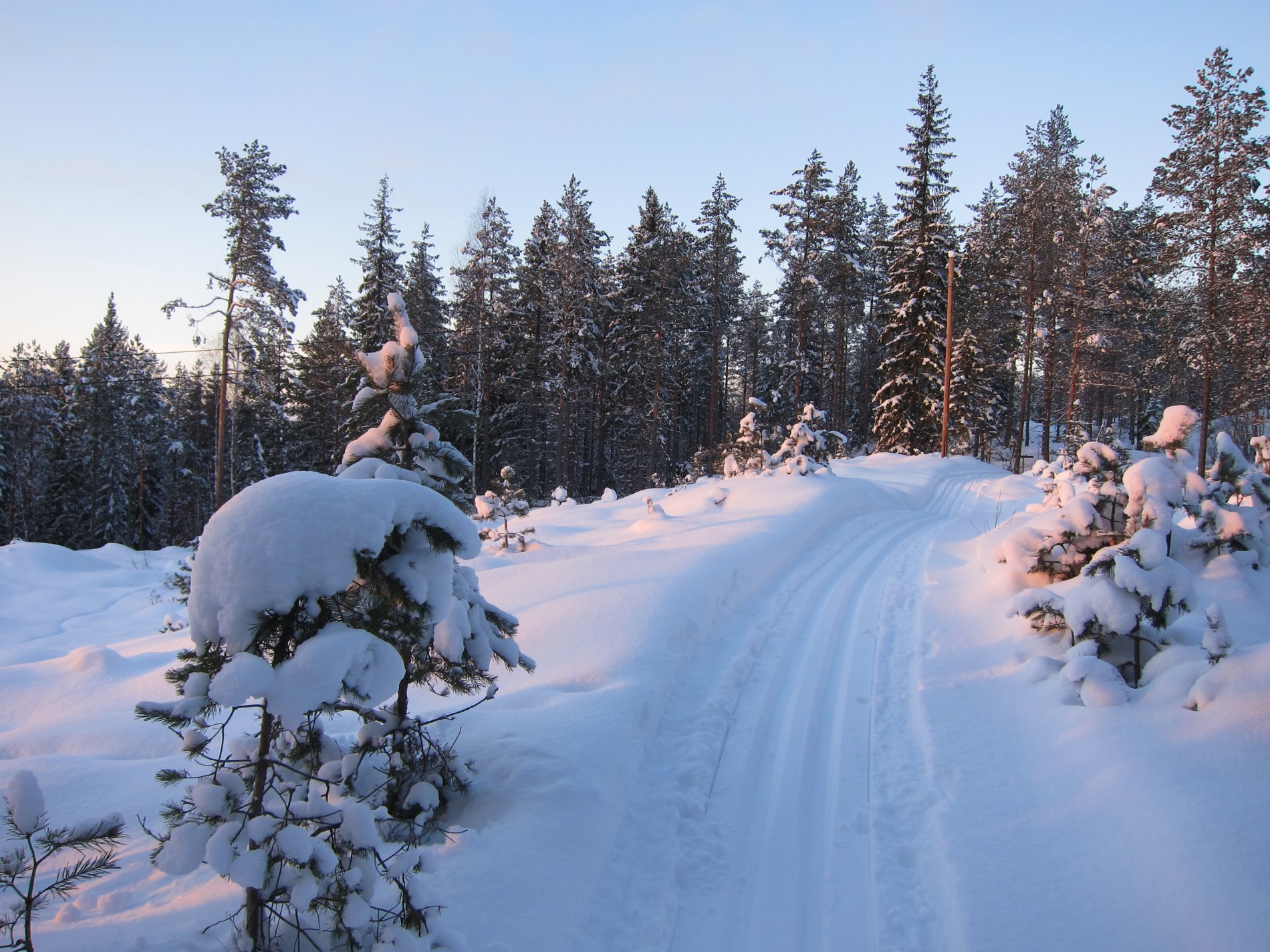 Oppover gjennom scooterens spor i skogen