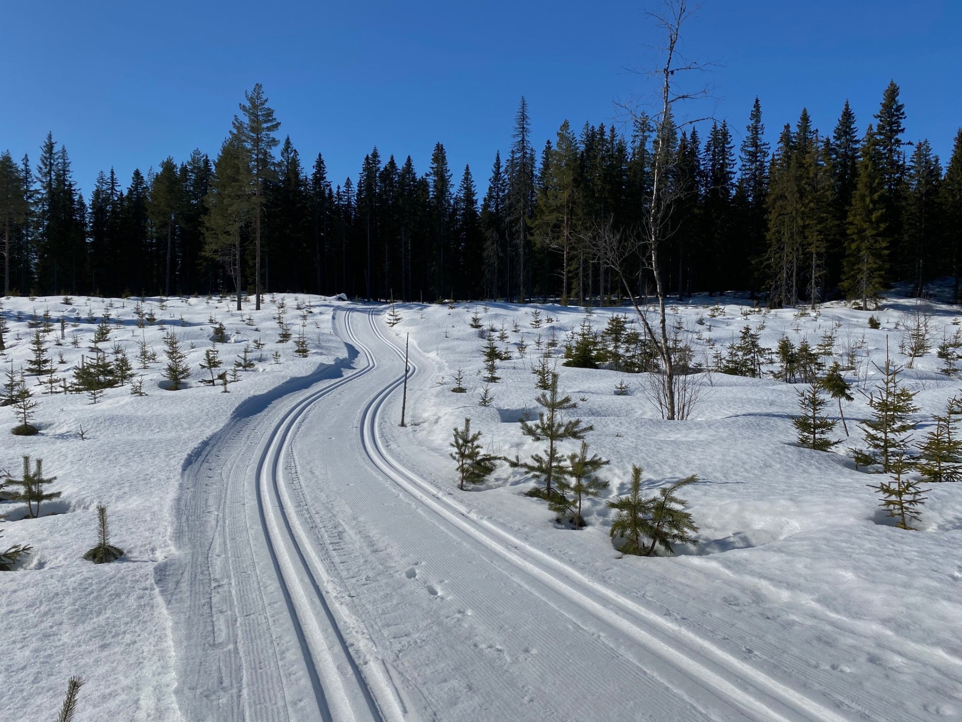 Oppover mot Vesterås