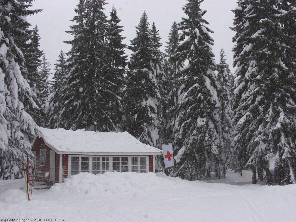 Oppsalsetra, Bøåsen