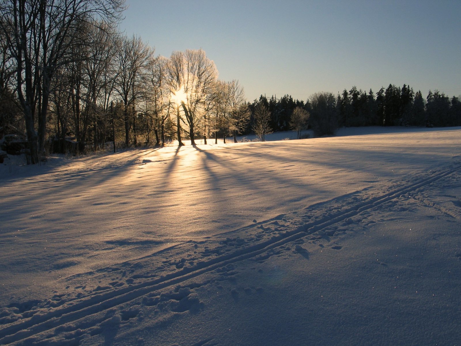 Ørebekk i lav vintersol