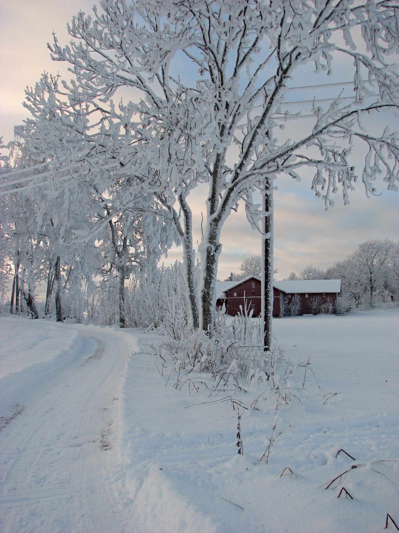 Ørebekk med snø på trærne