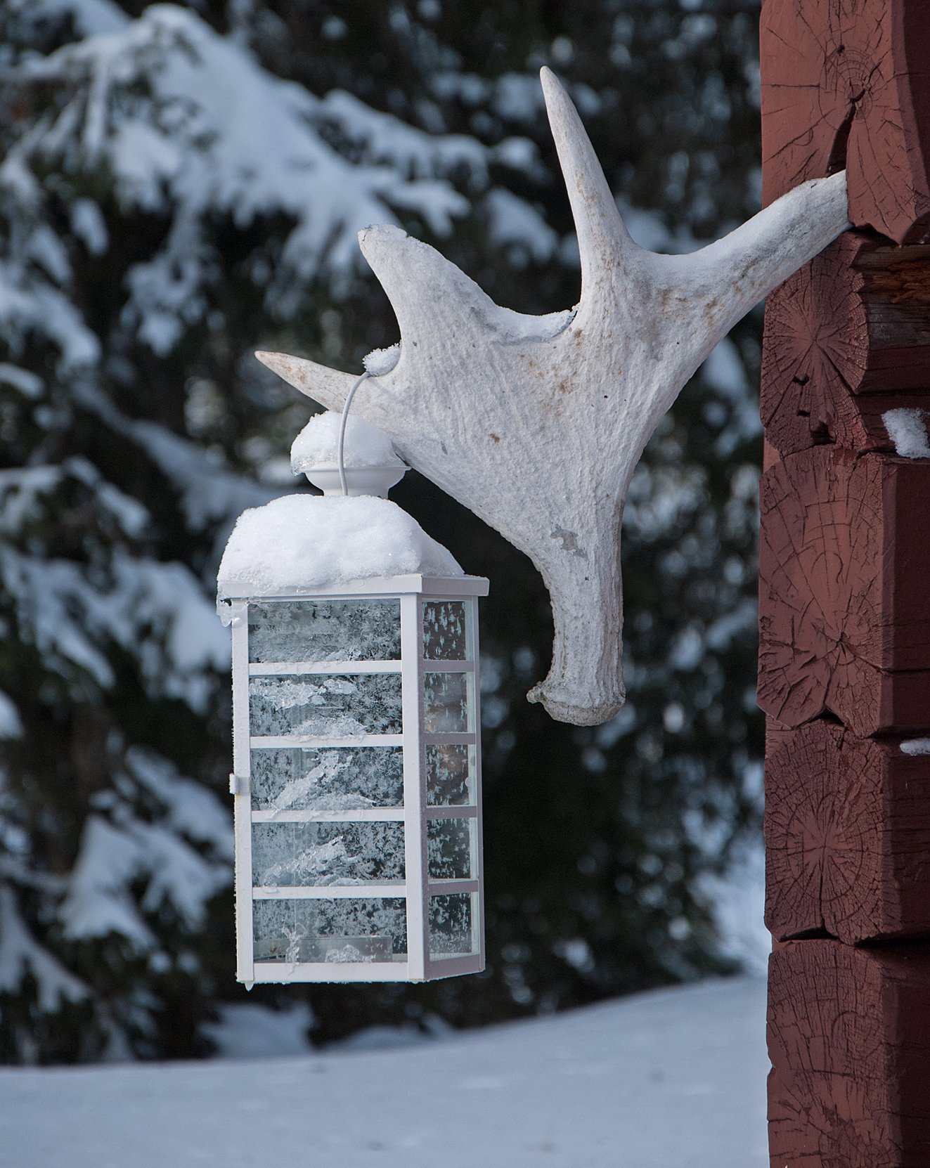 Originalt lampeoppheng