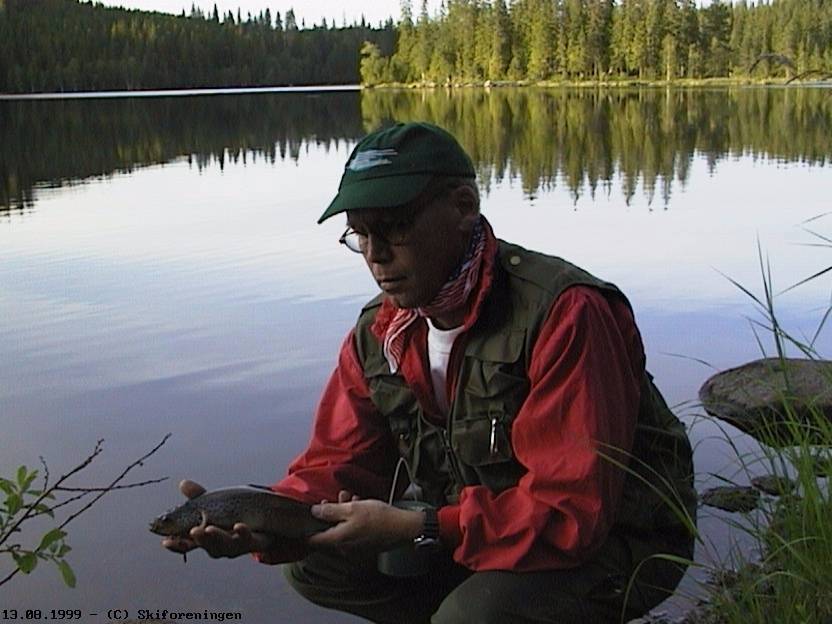 Ørret fra Store Fidlingen