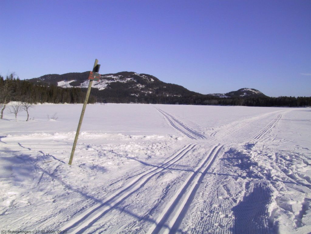 Øst-Fyllingen m. Kikuttoppen