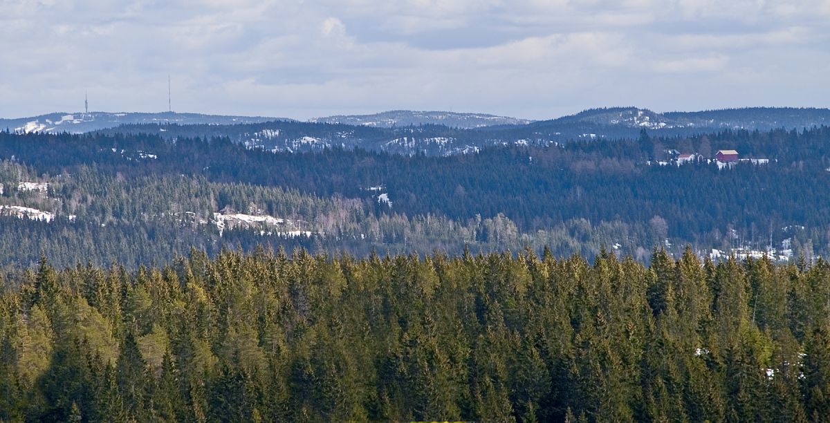 Østlig blikk fra Finneflakseterløypen