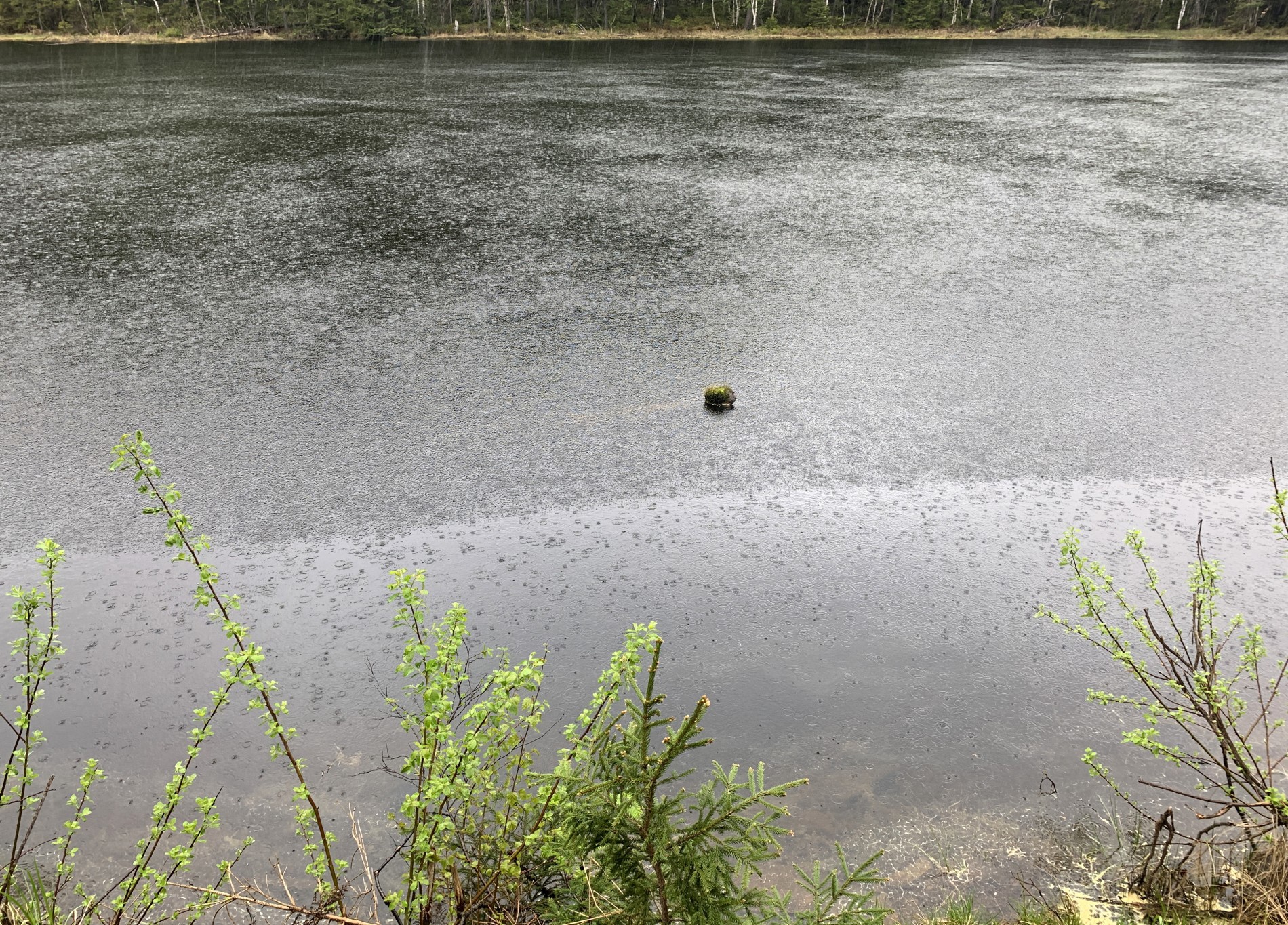 Østmarkas minste øy?