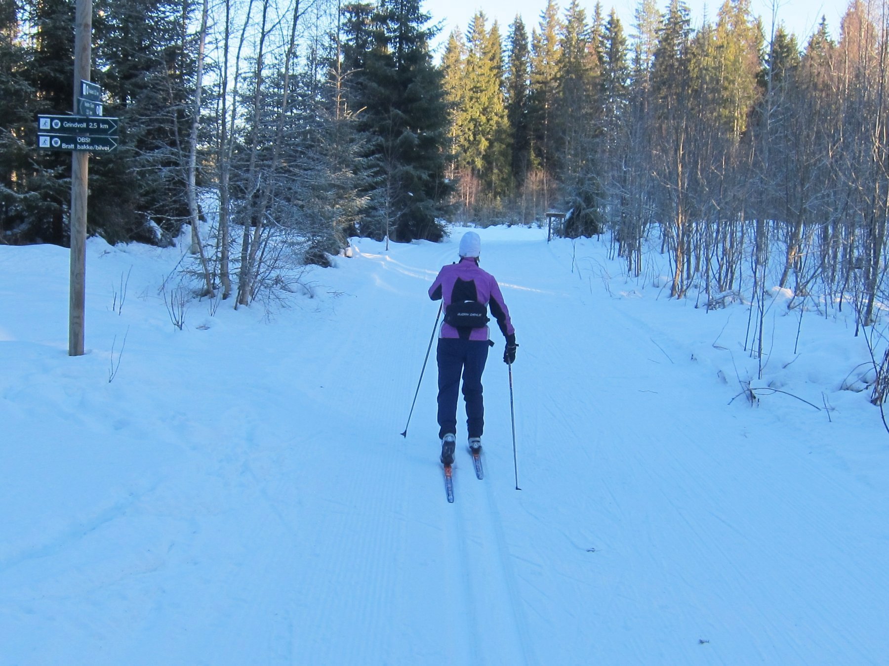 Østover fra Grimsrud