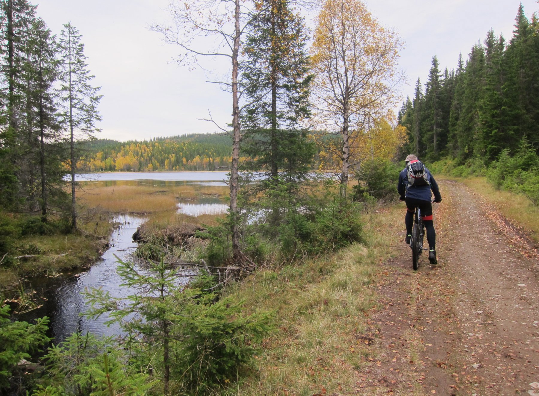 Østover ved Aurtjenn