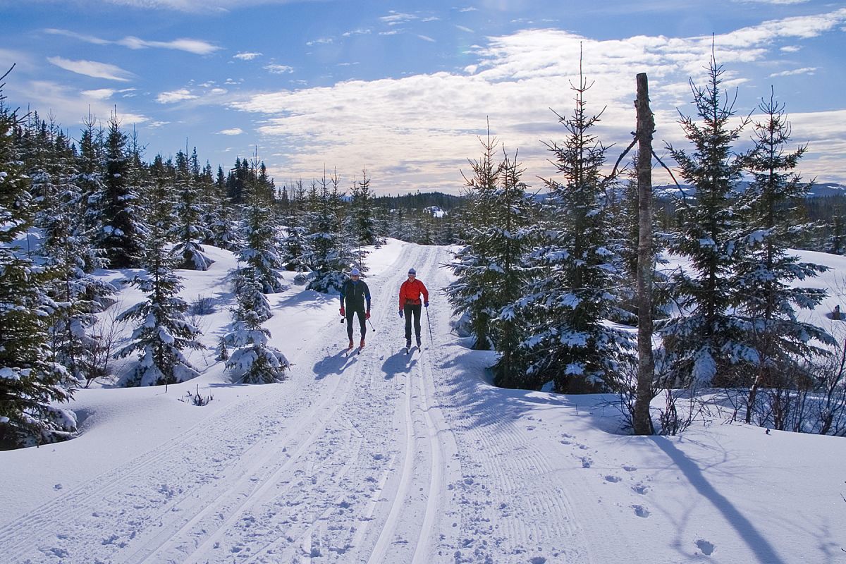 Over Åboråsen i marssol