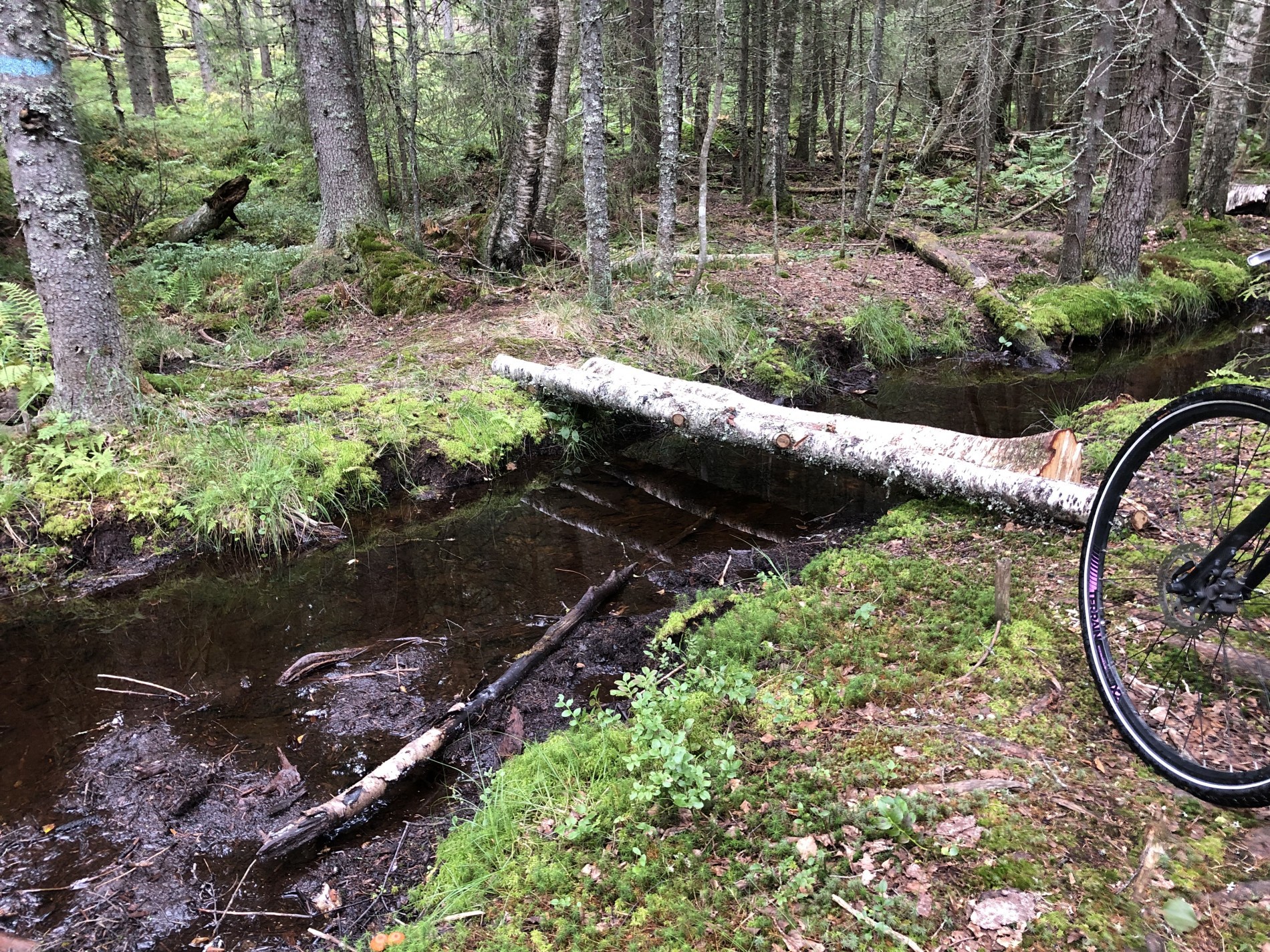 Over bekken med sykkel