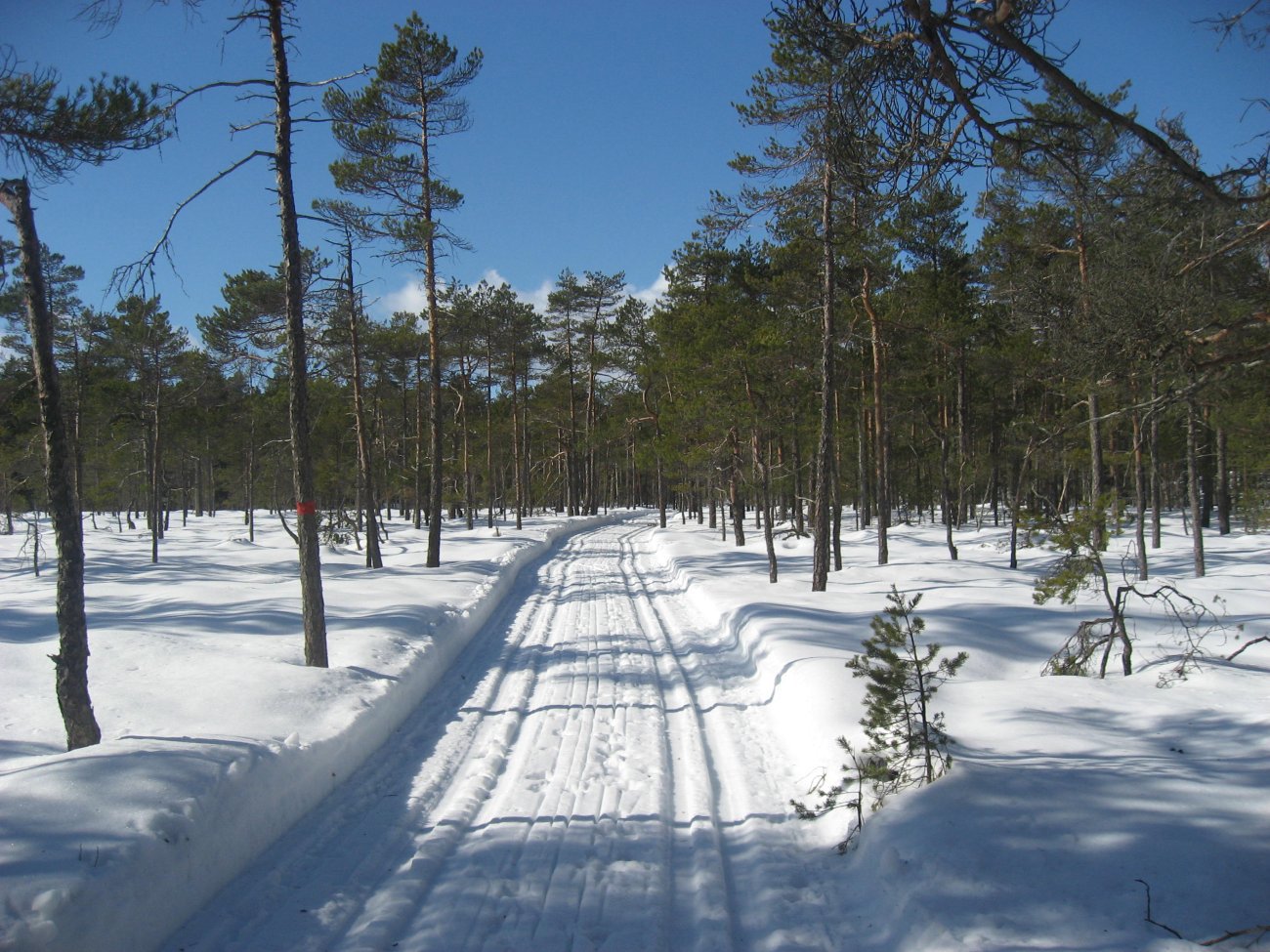 Over Høgesset i Gaupesteinsmarka