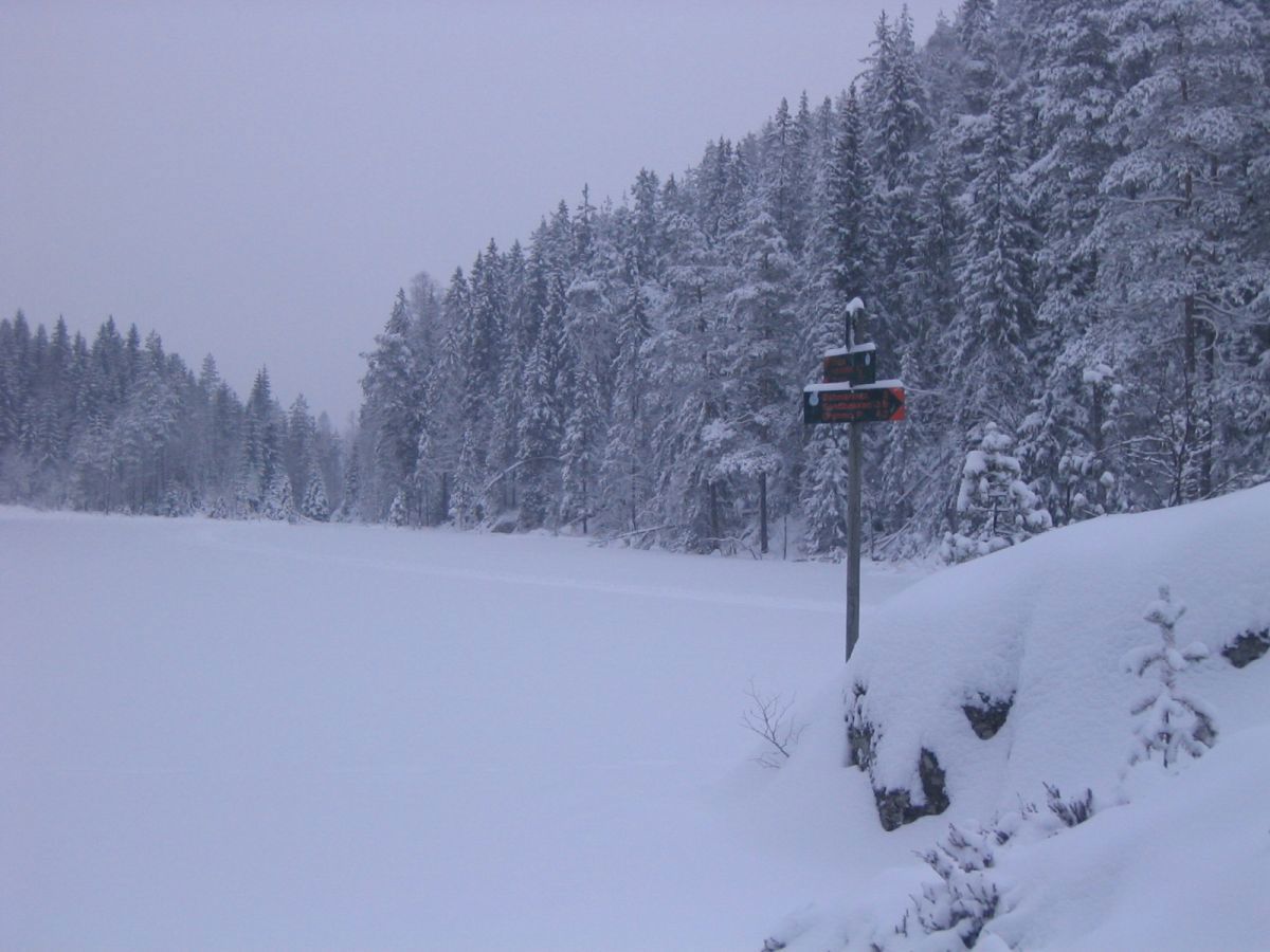 Over Langvann i Østmarka