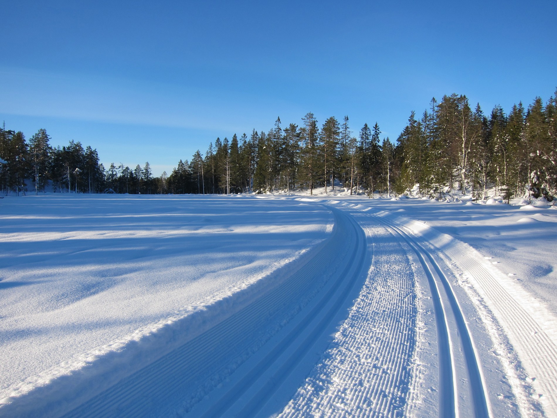 Over myrene i Ivarløypa