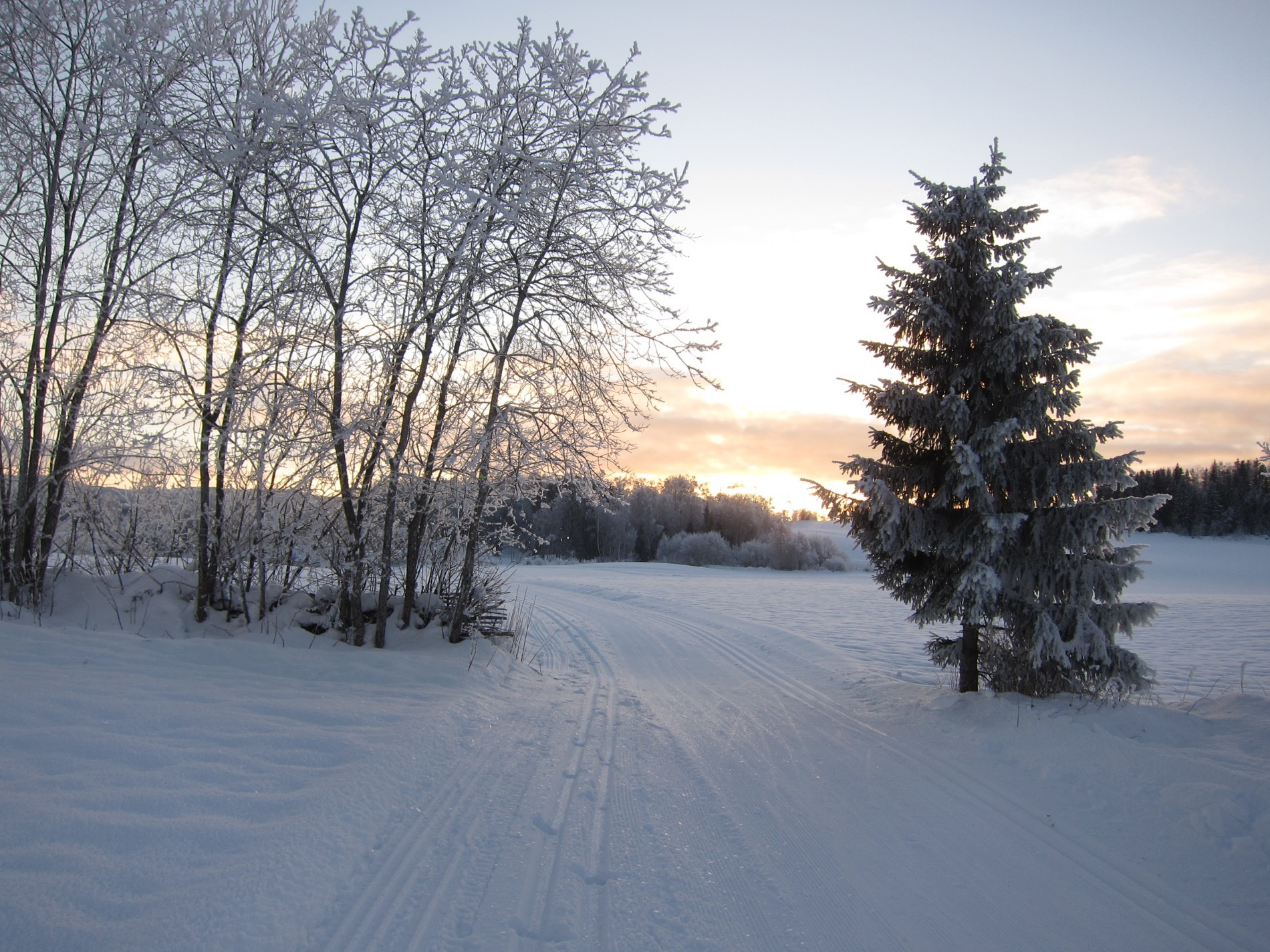 Over myrene mot Finnlaus