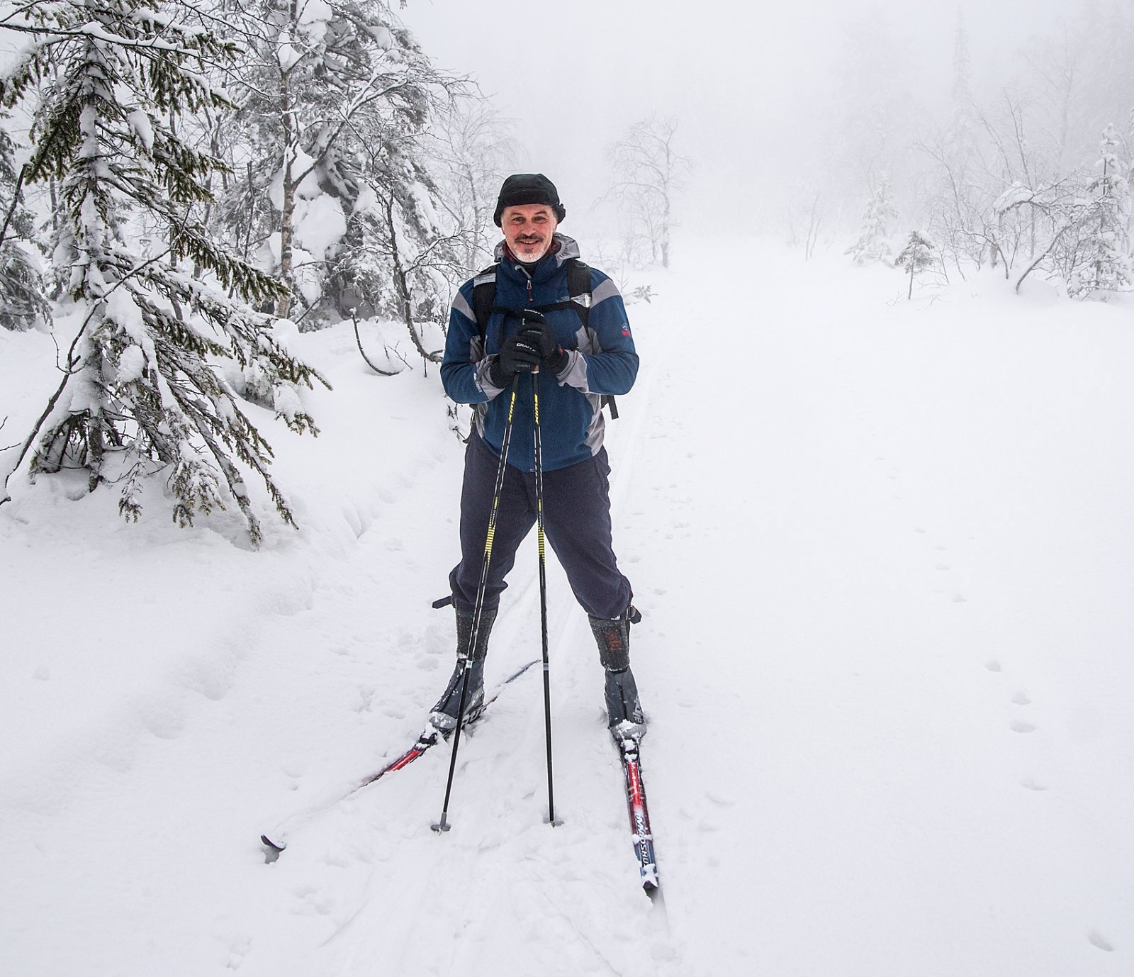 Over Vestergyllen i tåke