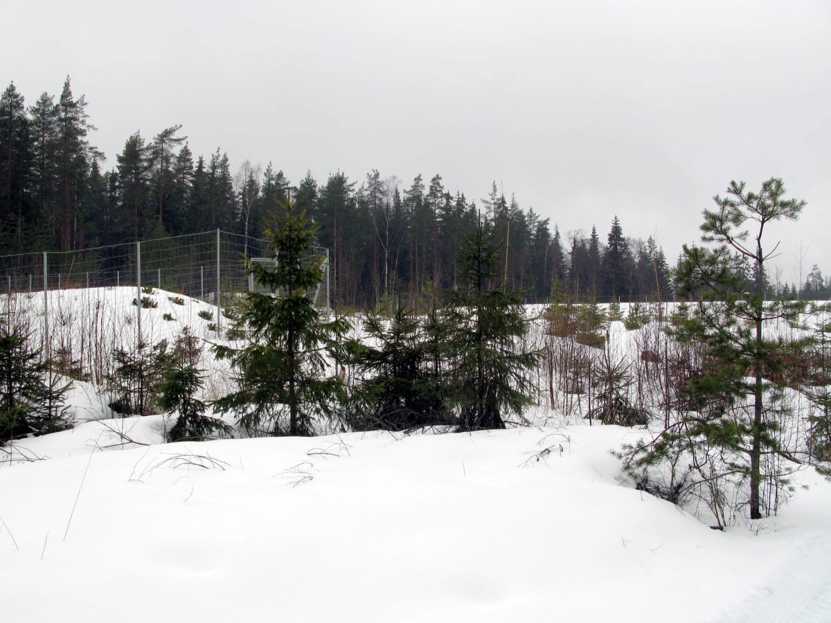 Over viltlokket på E6