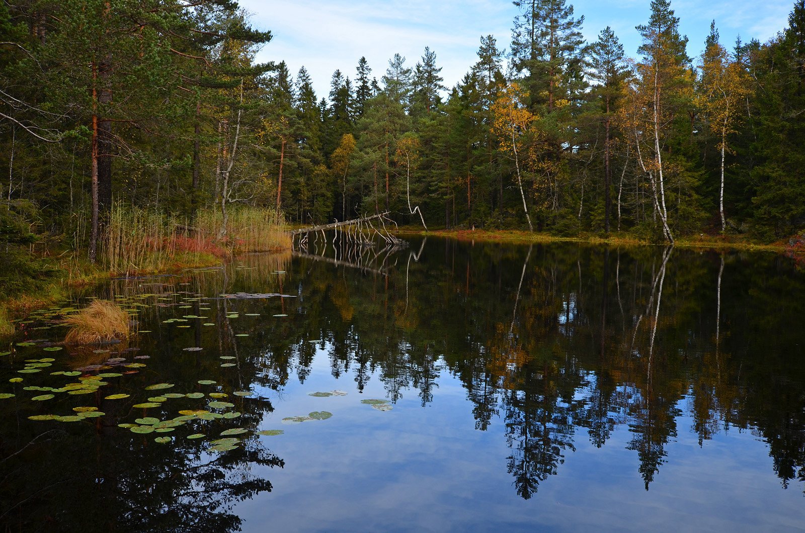 Øvre Blanksjø: en fredelig og idyllisk plett