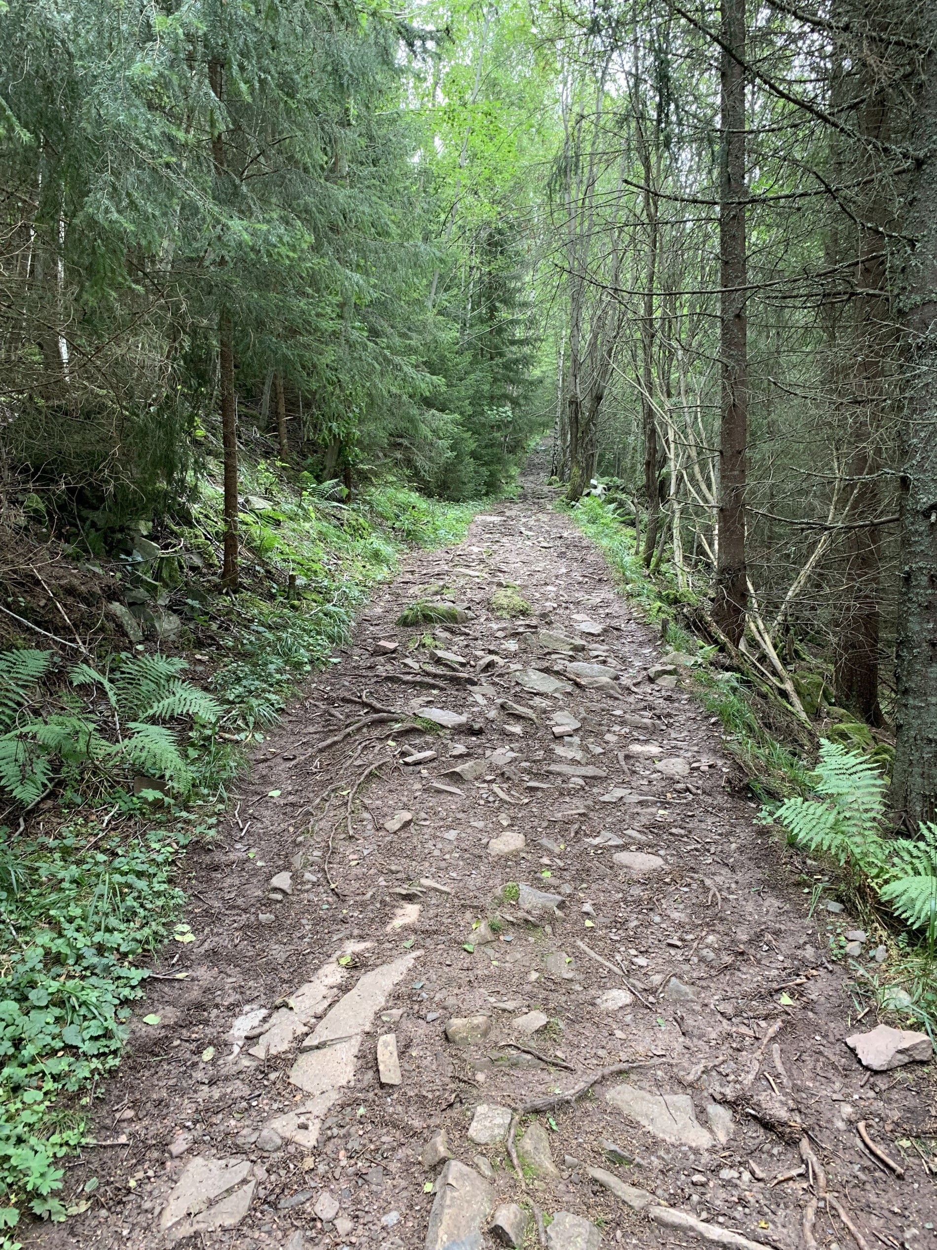 Øvre del av Skardveien