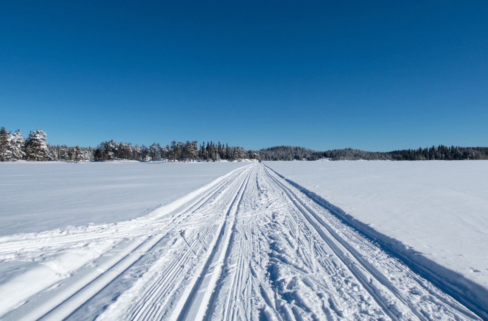 Øyangen i strålende marsvær