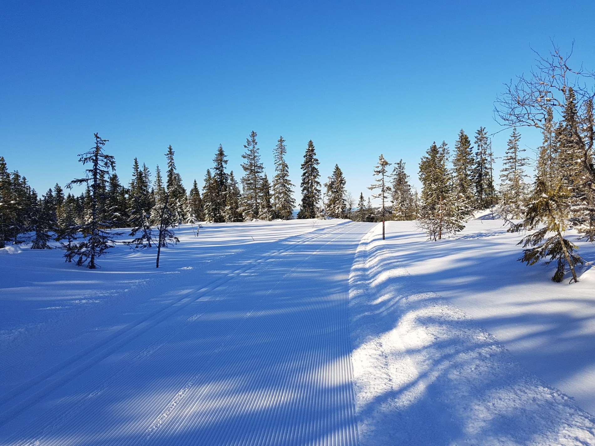 Øyangsrøysa på morgenen