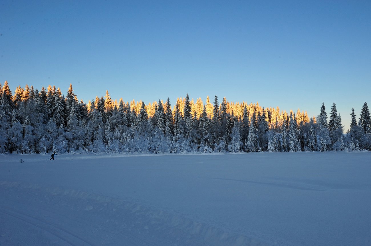 Øyevann i Vestmarka