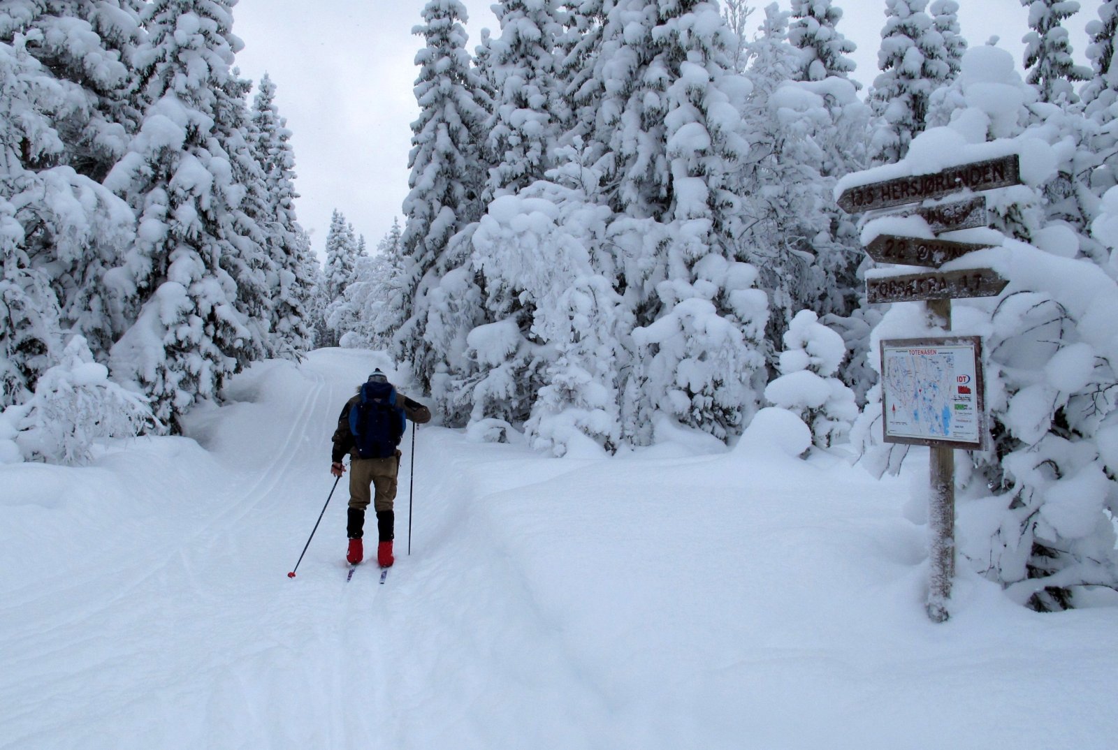 Øyungsrunden på Totenåsen