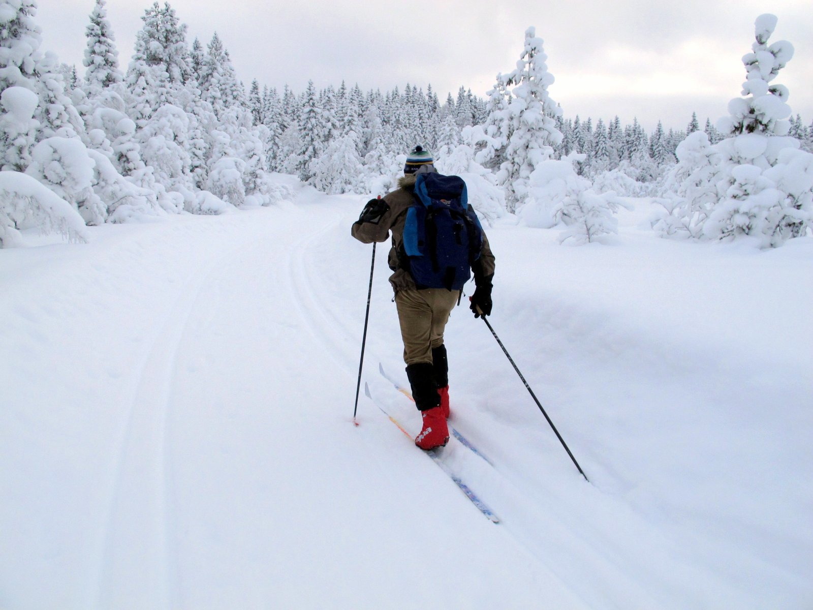 Øyungsrunden på Totenåsen