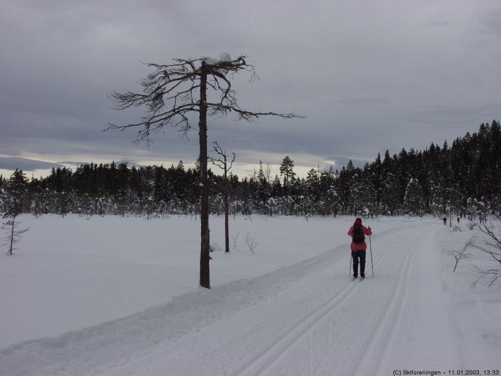 På Bertelsmyr tar løypen av til ROS-hytta