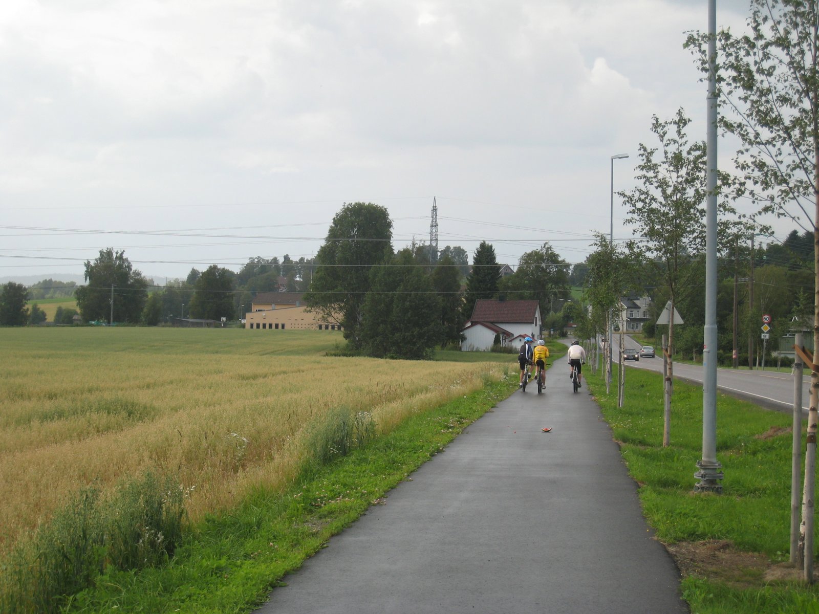 På Eidsvollvegen ved Ås skole