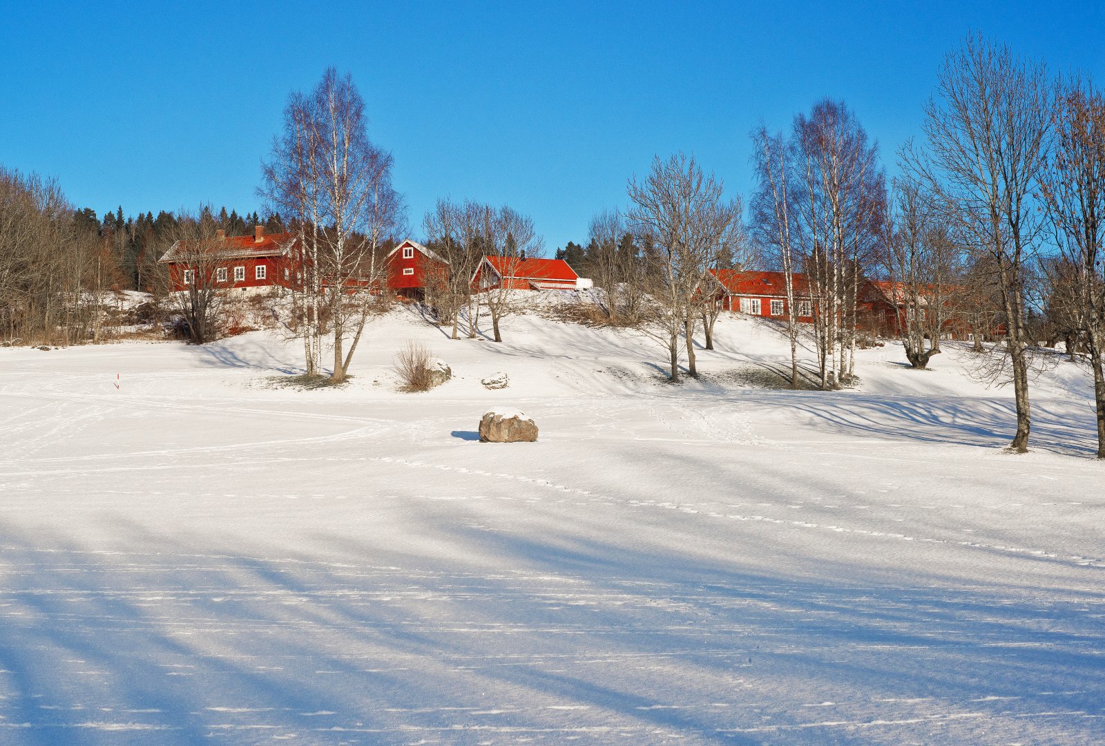 På golfbanen i solskinn