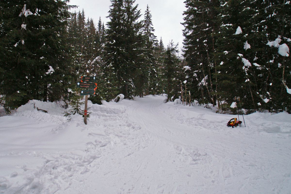 På grensen mellom Bærumsmarka og Krokskogen